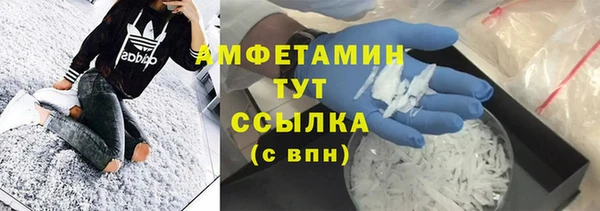 индика Беломорск