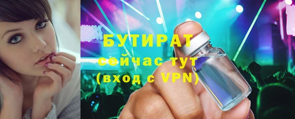 индика Беломорск