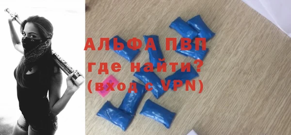 индика Беломорск