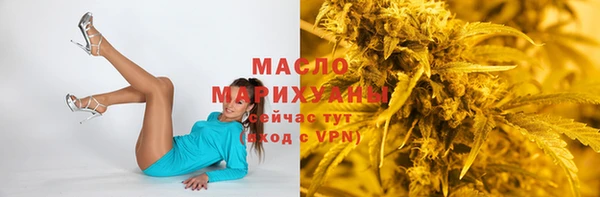 индика Беломорск