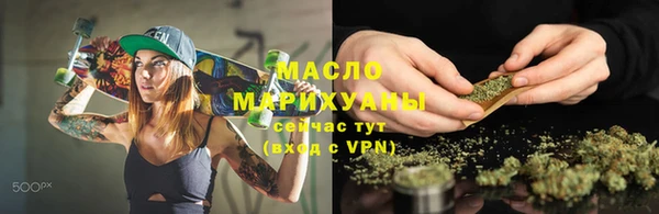 индика Беломорск