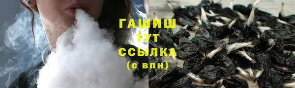 индика Беломорск
