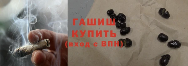 индика Беломорск