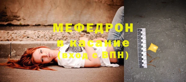 индика Беломорск