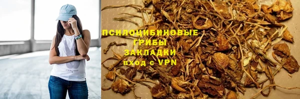 индика Беломорск