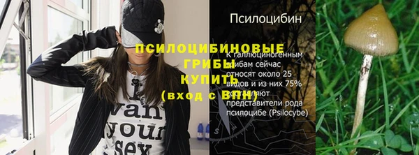 индика Беломорск